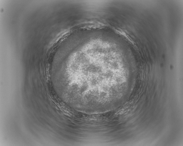 X0000057061399200510071354