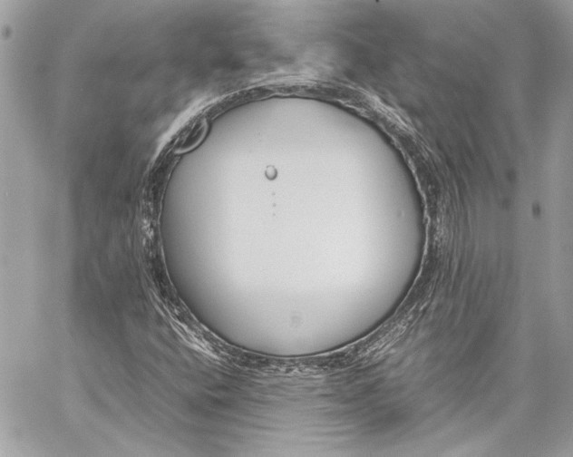 X0000057061400200510071354