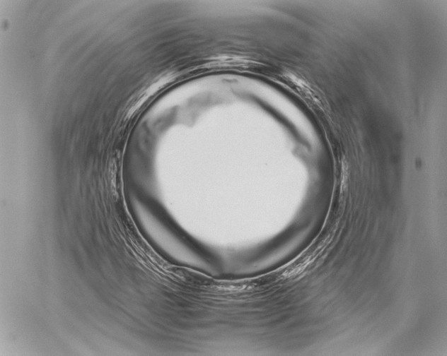 X0000057061401200510071354