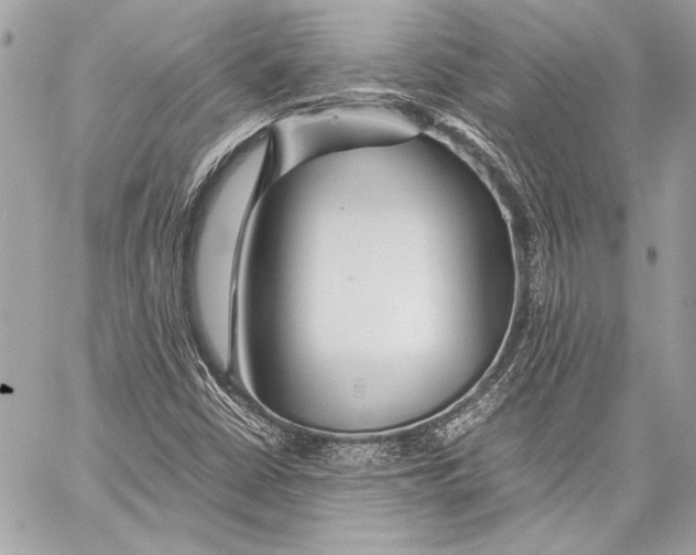 X0000057061402200510071354