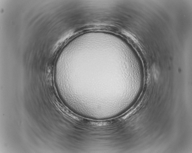 X0000057061403200510071354