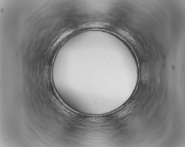 X0000057061404200510071354