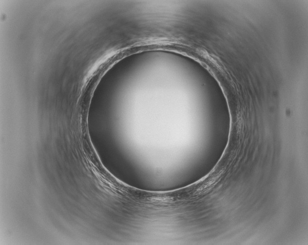 X0000057061406200510071355