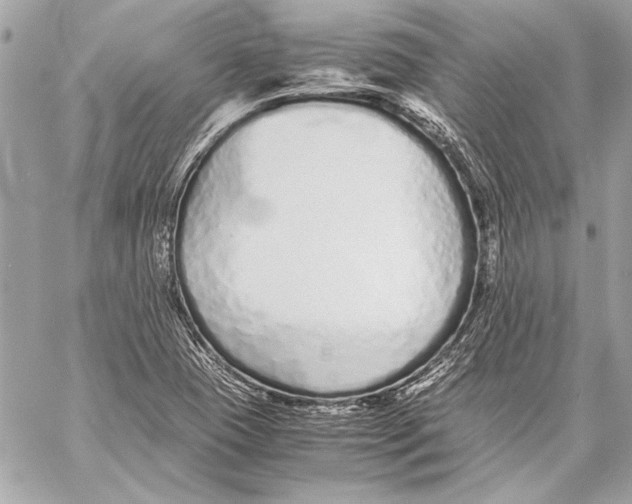 X0000057061409200510071355