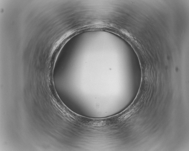 X0000057061410200510071355