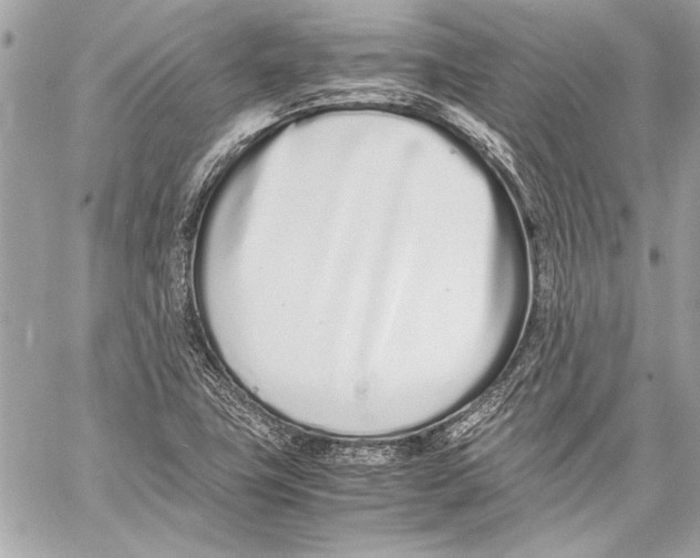 X0000057061411200510071355