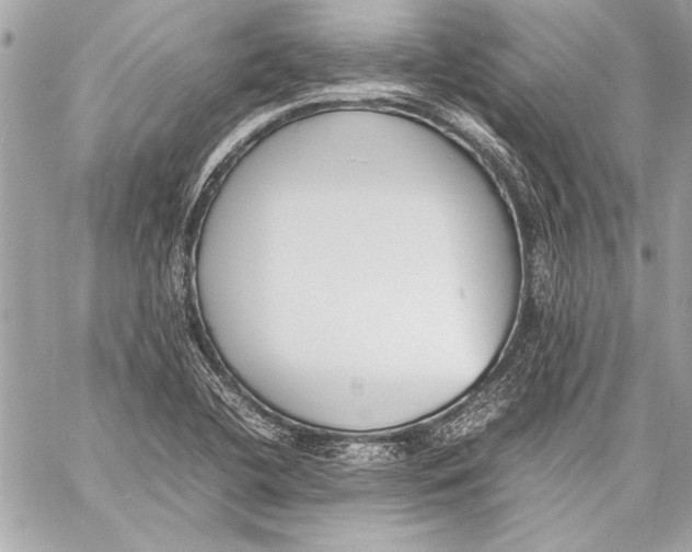 X0000057061412200510071355