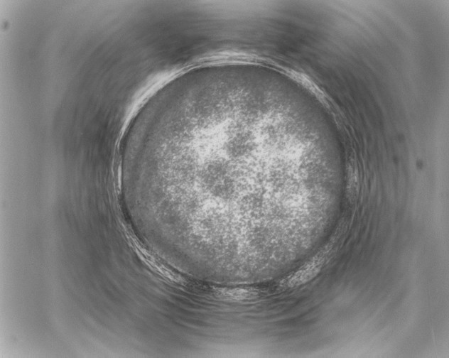 X0000057061413200510071355