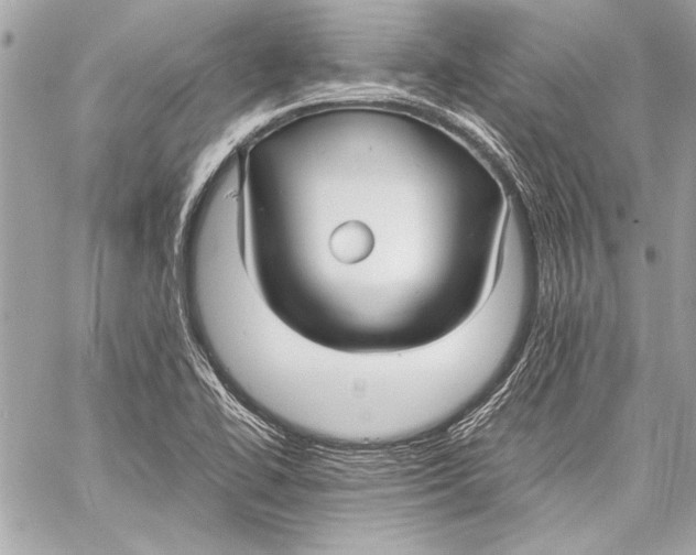 X0000057061414200510071355