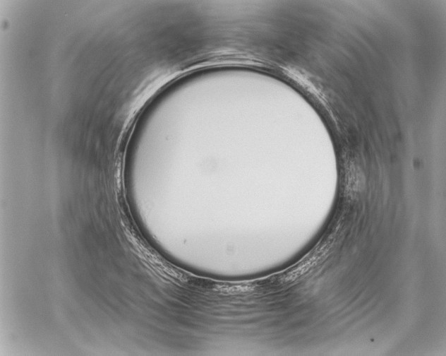 X0000057061415200510071355