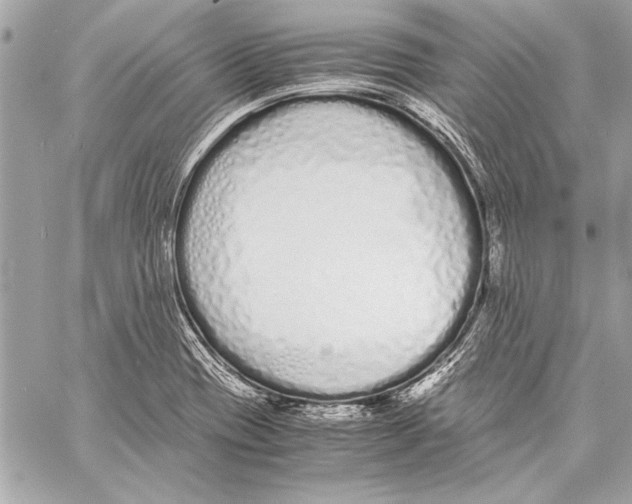 X0000057061417200510071355