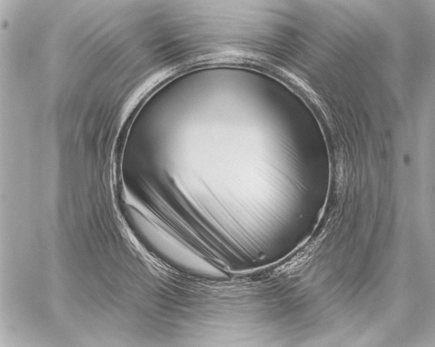 X0000057061418200510071355