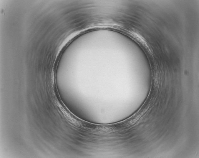 X0000057061420200510071355