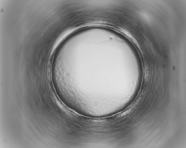 X0000057061421200510071355