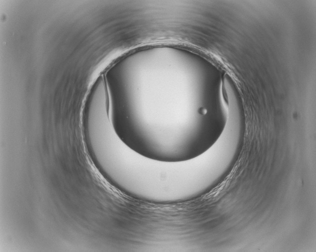 X0000057061422200510071355