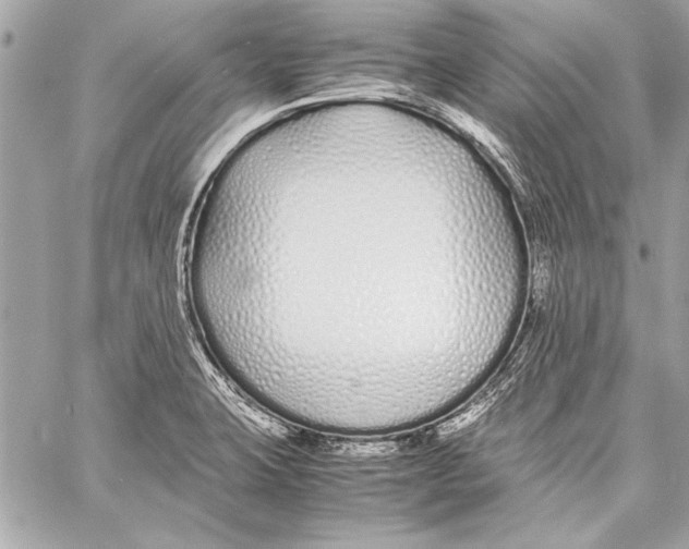 X0000057061423200510071355