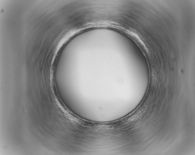 X0000057061424200510071355