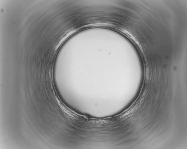 X0000057061425200510071355