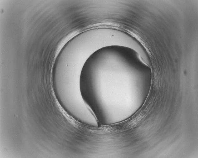 X0000057061426200510071355