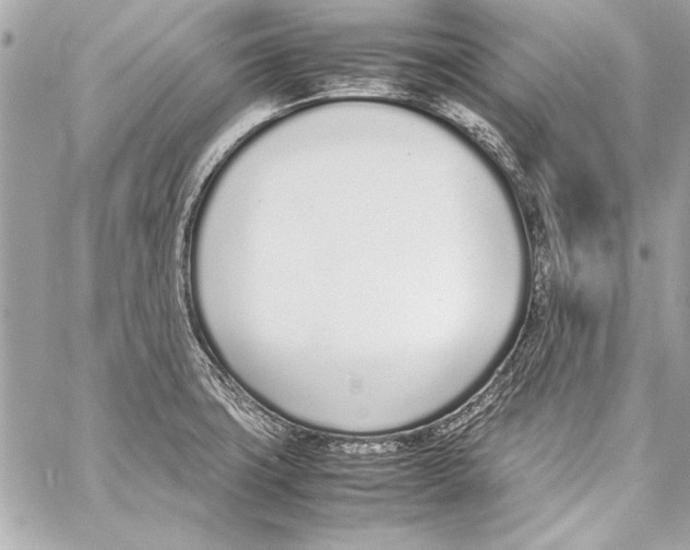 X0000057061427200510071355