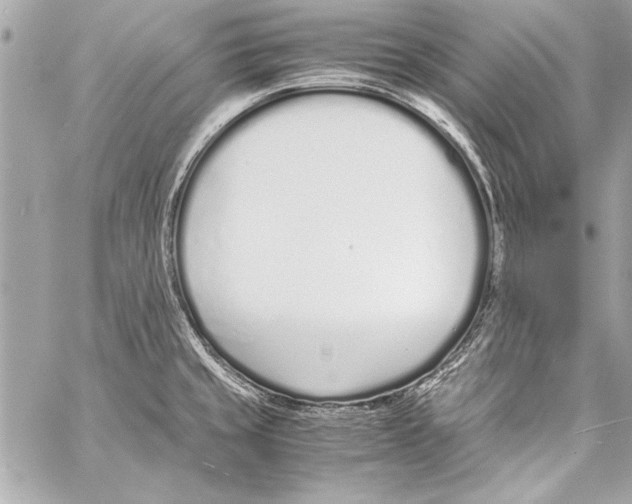 X0000057061429200510071355