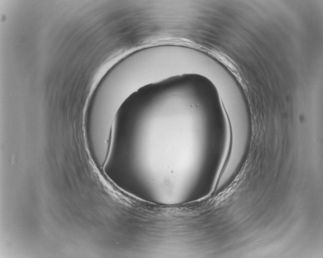 X0000057061430200510071355