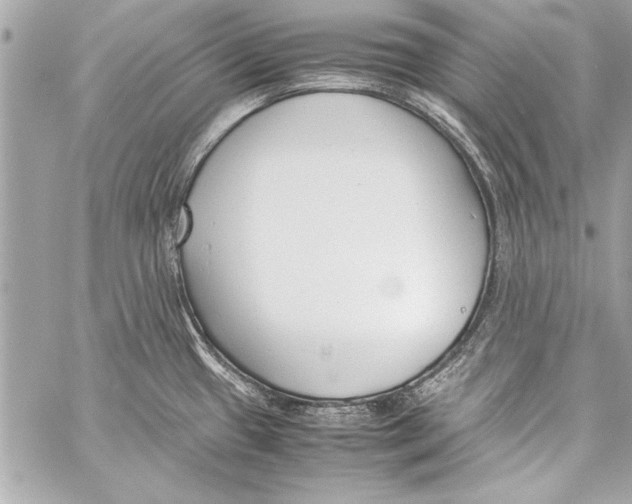 X0000057061433200510071355