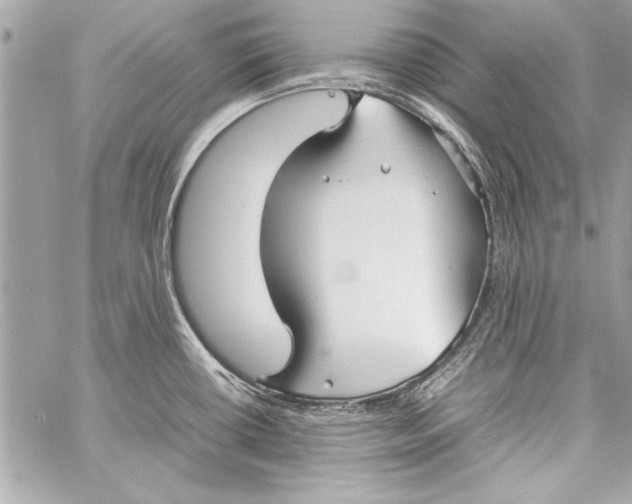 X0000057061434200510071355