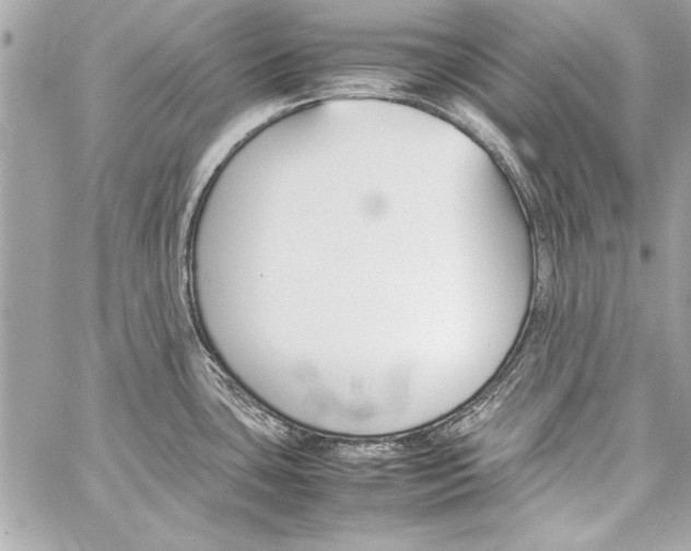 X0000057061435200510071355