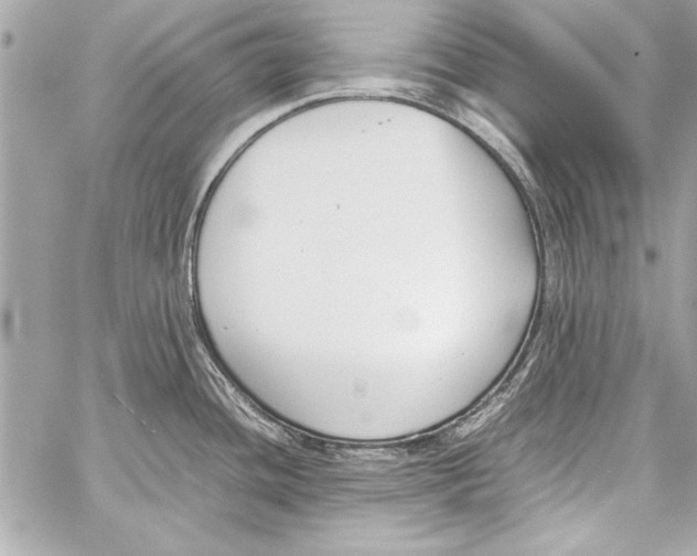 X0000057061436200510071355