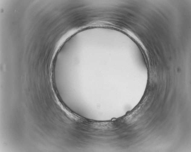 X0000057061437200510071355