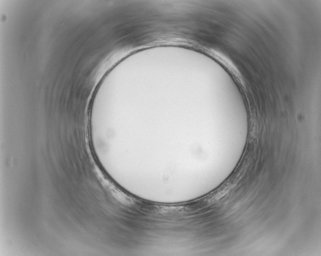 X0000057061439200510071355