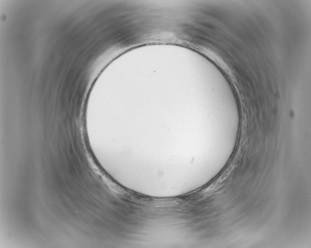 X0000057061440200510071355