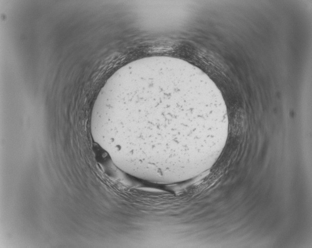 X0000057061441200510071354