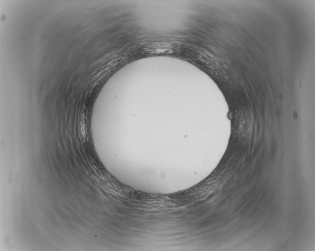 X0000057061442200510071354