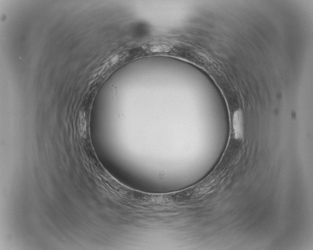 X0000057061443200510071354