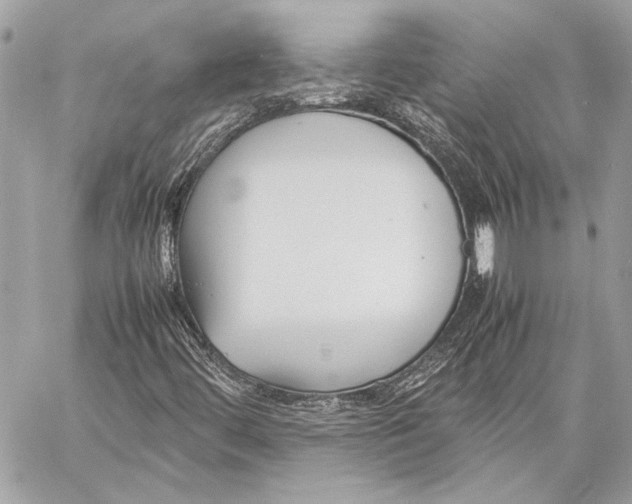 X0000057061444200510071354