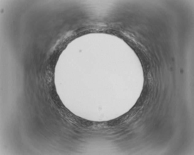 X0000057061447200510071354