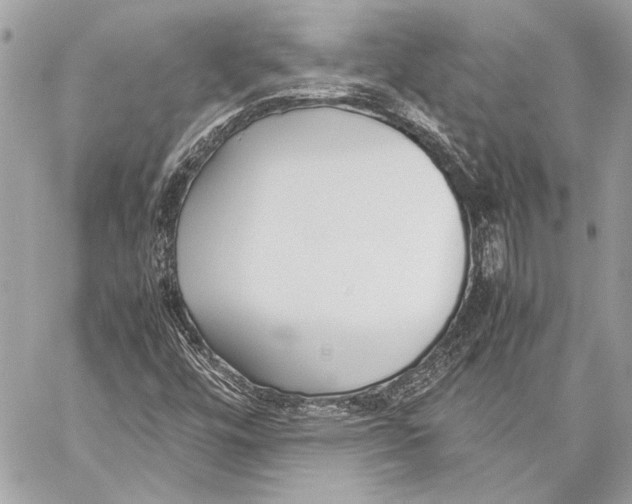 X0000057061448200510071354