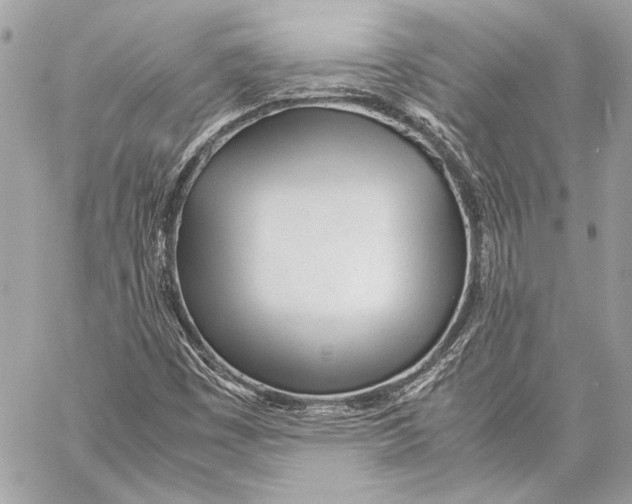 X0000057061449200510071354