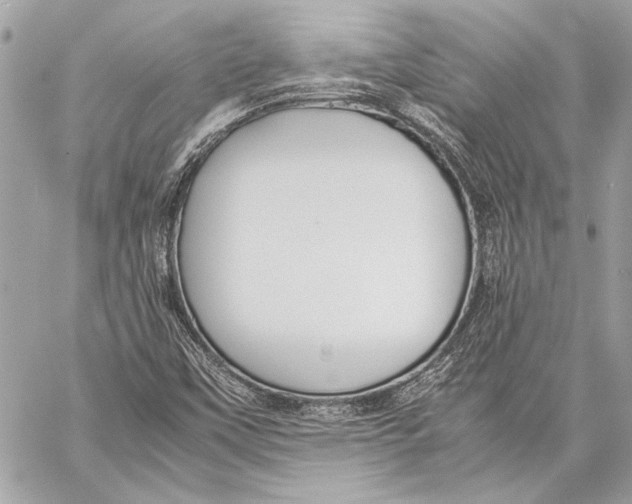 X0000057061451200510071354