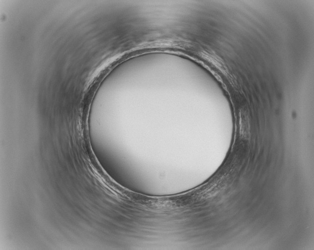 X0000057061452200510071354