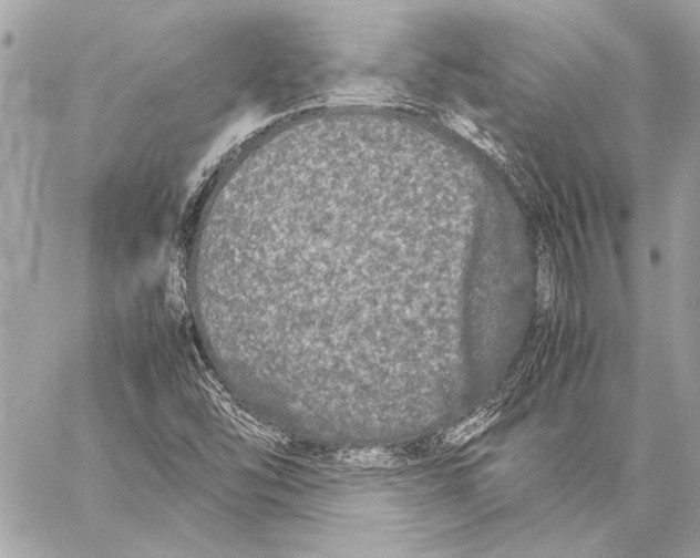 X0000057061454200510071354