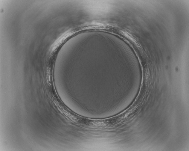 X0000057061455200510071354