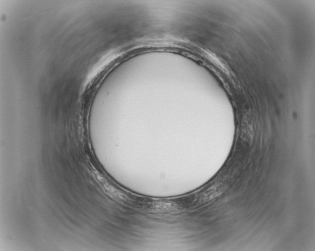 X0000057061456200510071354