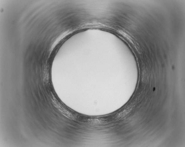 X0000057061458200510071354