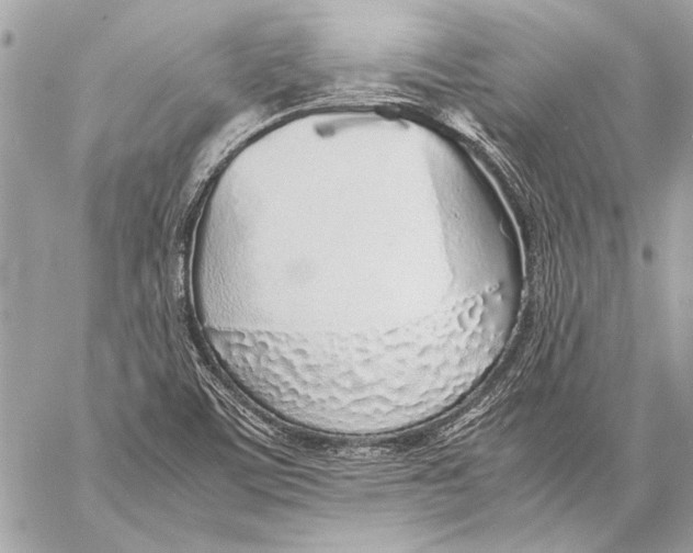 X0000057061459200510071354