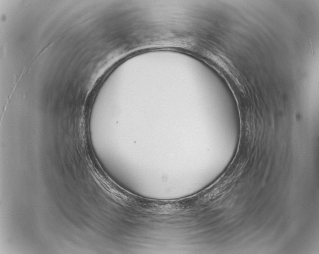 X0000057061460200510071354