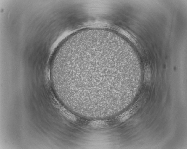 X0000057061462200510071354