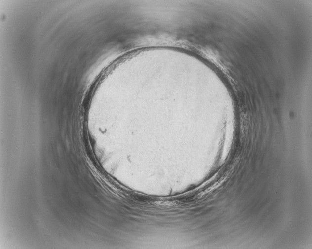 X0000057061463200510071354